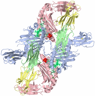 Image Biological Unit 3