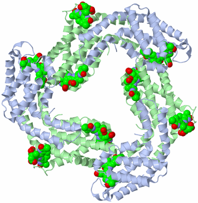 Image Biological Unit 3