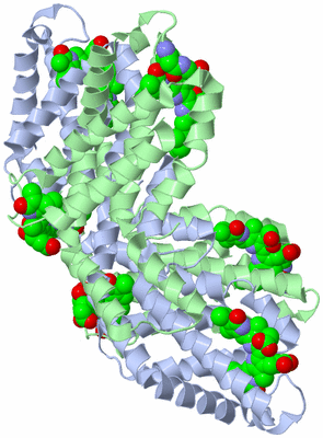 Image Biological Unit 4