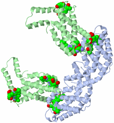 Image Biological Unit 5