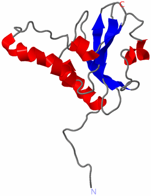 Image NMR Structure - model 1