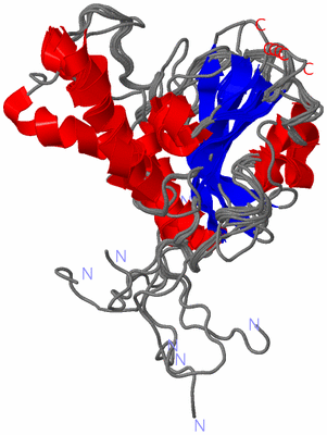 Image NMR Structure - all models