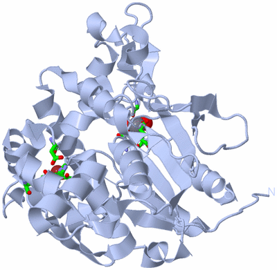 Image Biol. Unit 1 - sites