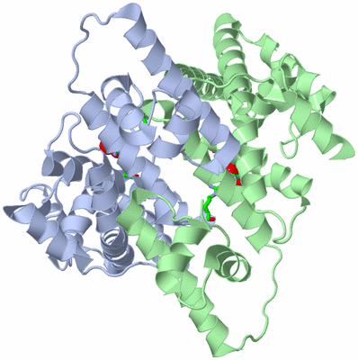 Image Asym./Biol. Unit - sites