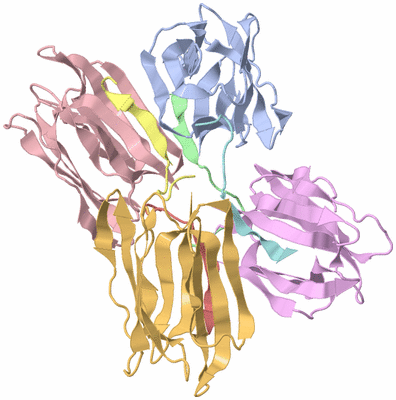 Image Asym./Biol. Unit