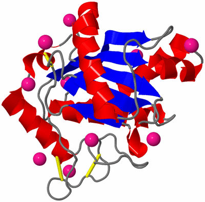 Image Asym./Biol. Unit