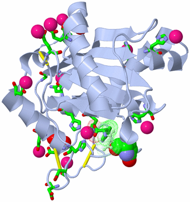 Image Biol. Unit 1 - sites