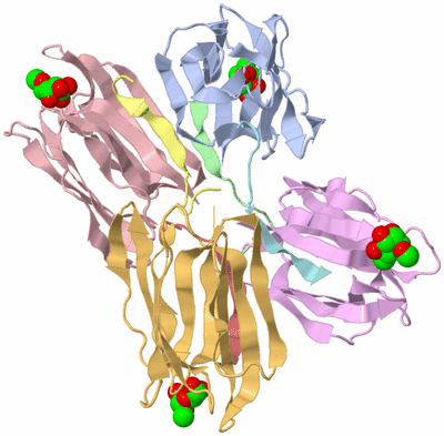 Image Asym./Biol. Unit