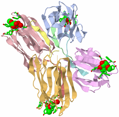 Image Asym./Biol. Unit - sites