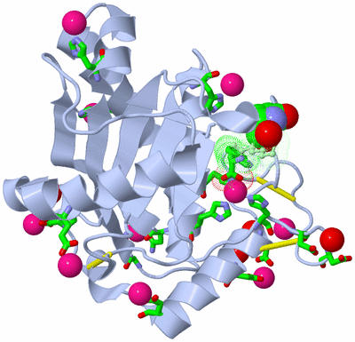 Image Asym./Biol. Unit - sites