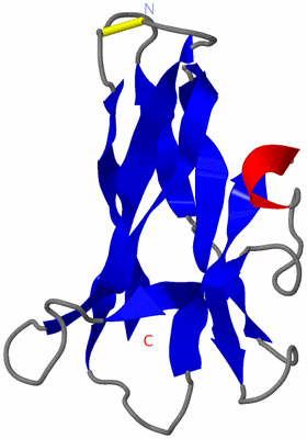 Image NMR Structure - model 1