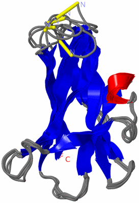 Image NMR Structure - all models