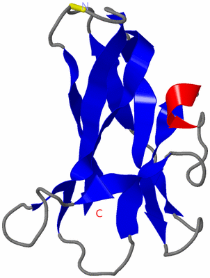 Image NMR Structure - model 1