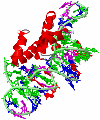 Image Asym./Biol. Unit