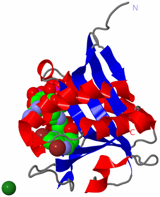 Image Asym./Biol. Unit