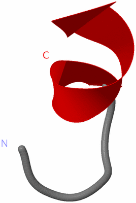 Image NMR Structure - model 1