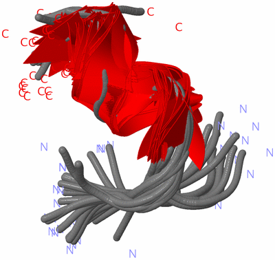 Image NMR Structure - all models