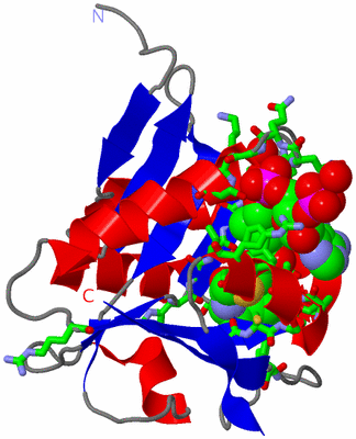 Image Asym./Biol. Unit - sites