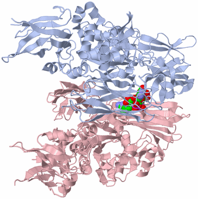 Image Biological Unit 1