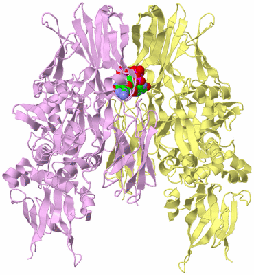 Image Biological Unit 3