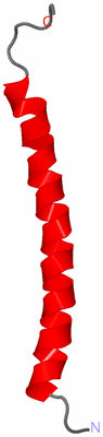 Image NMR Structure - model 1