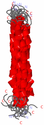 Image NMR Structure - all models