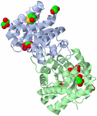 Image Asym./Biol. Unit