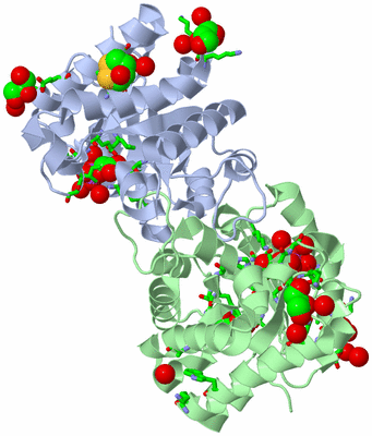 Image Asym./Biol. Unit - sites