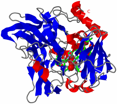 Image Asym./Biol. Unit - sites