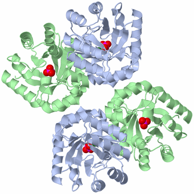 Image Biological Unit 2