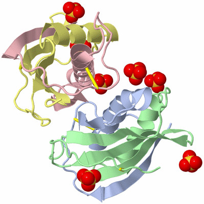 Image Asymmetric Unit