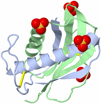 Image Biological Unit 1
