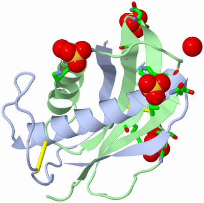 Image Biol. Unit 1 - sites