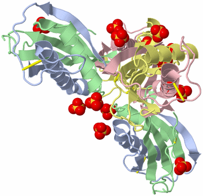 Image Biological Unit 3