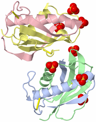 Image Biological Unit 4