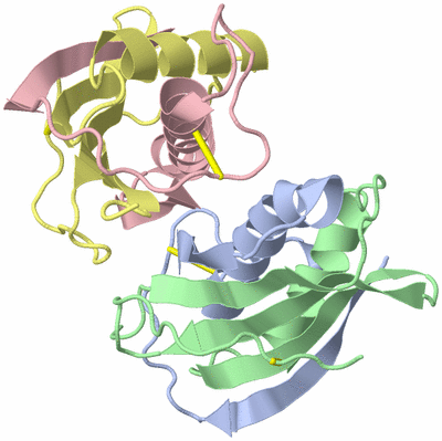 Image Asymmetric Unit
