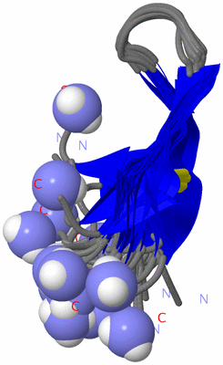 Image NMR Structure - all models