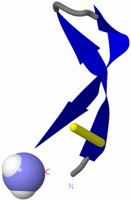 Image NMR Structure - model 1