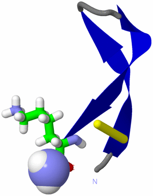 Image NMR Structure - model 1, sites