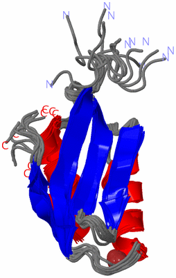 Image NMR Structure - all models