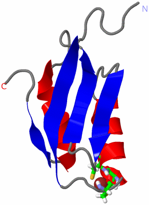 Image NMR Structure - model 1, sites