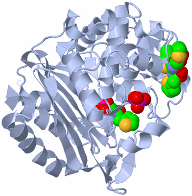 Image Biological Unit 1