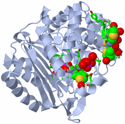 Image Biol. Unit 1 - sites