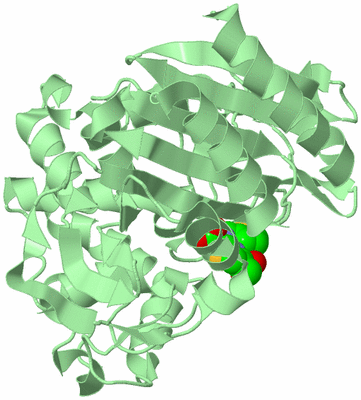 Image Biological Unit 2