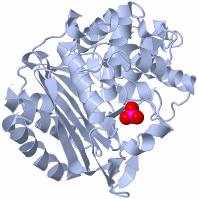 Image Biological Unit 1