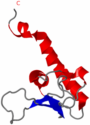 Image NMR Structure - model 1