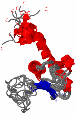 Image NMR Structure - all models