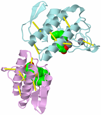 Image Biological Unit 3