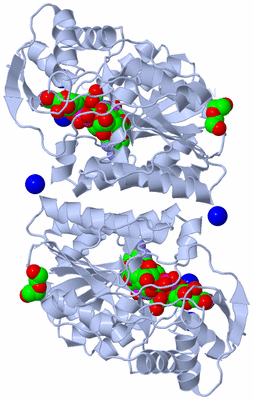 Image Biological Unit 1