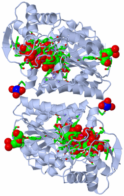 Image Biol. Unit 1 - sites